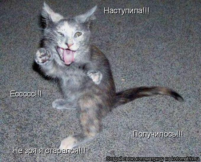 Наступила!!! Ессссс!!! Получилось!!! Не зря я старался!!!... Котоматрица: Наступила!!! Ессссс!!! Получилось!!! Не зря я старался!!!
