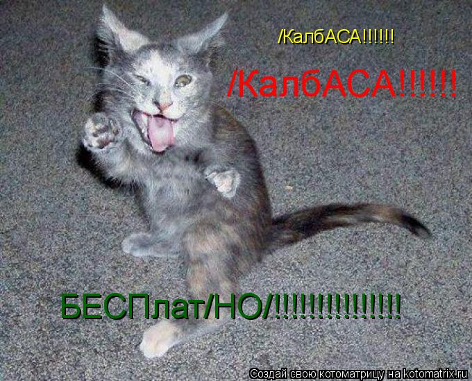 /КалбАСА!!!!!! /КалбАСА!!!!!! БЕСПлат/НО/!!!!!!!!!!!!!!!... Котоматрица: /КалбАСА!!!!!! /КалбАСА!!!!!! БЕСПлат/НО/!!!!!!!!!!!!!!!