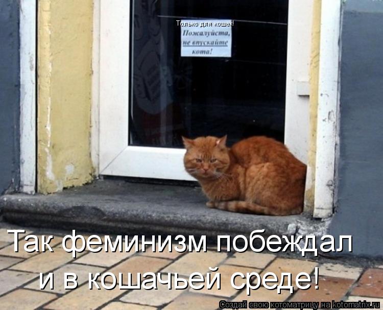 Так феминизм побеждал и в кошачьей среде! Только для кошек!... Котоматрица: Так феминизм побеждал и в кошачьей среде! Только для кошек!