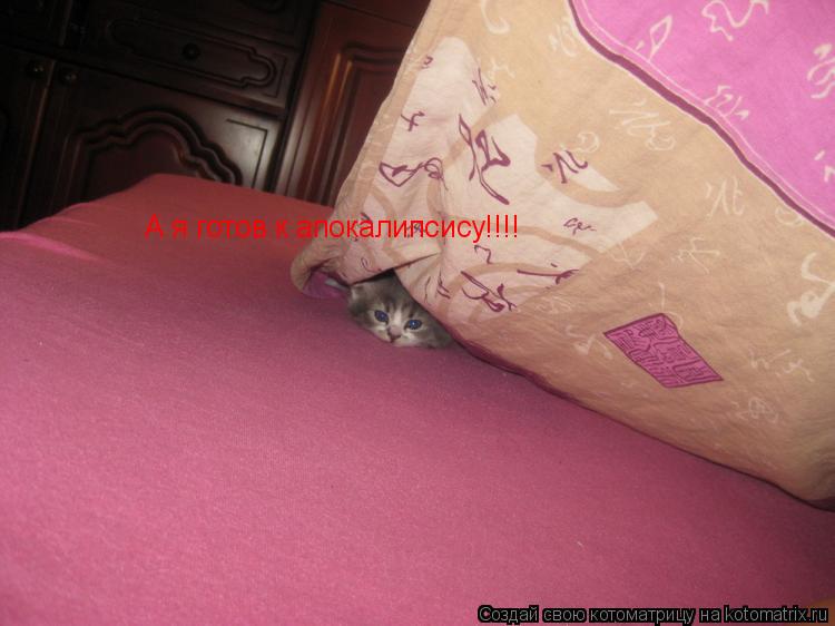 А я готов к апокалипсису!!!!... Котоматрица: А я готов к апокалипсису!!!!