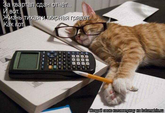Котоматрица: За квартал сдан отчёт... И вот... Жизнь тихая и мирная грядёт... Как кот...