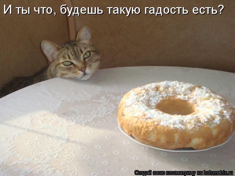Котоматрица: И ты что, будешь такую гадость есть?