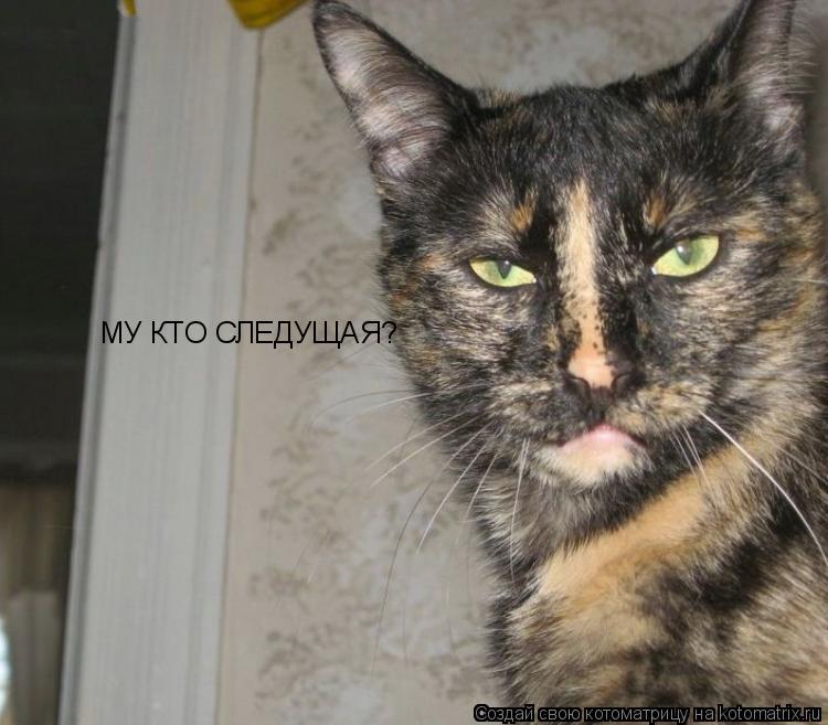 Котоматрица: МУ КТО СЛЕДУЩАЯ?