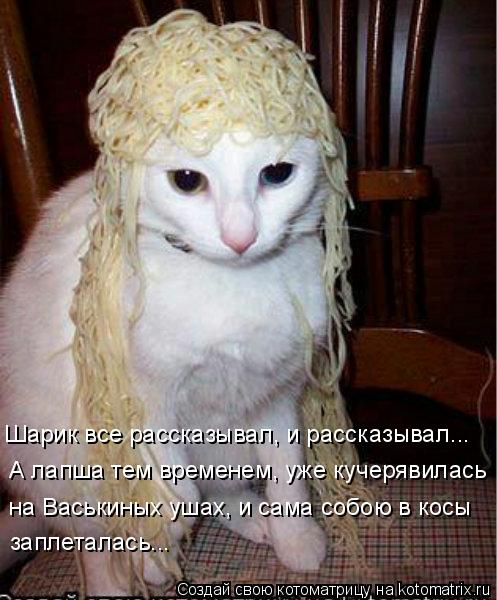 Котоматрица: Шарик все рассказывал, и рассказывал... А лапша тем временем, уже кучерявилась на Васькиных ушах, и сама собою в косы  заплеталась...