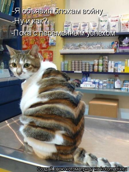 -Я объявил блохам войну -Ну и как? -Пока с переменным успехом... Котоматрица: -Я объявил блохам войну -Ну и как? -Пока с переменным успехом