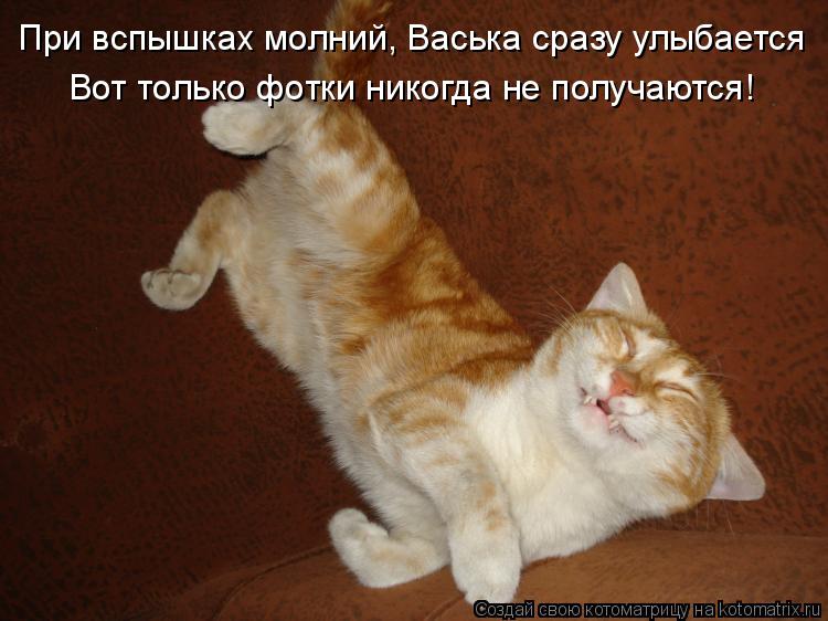 Котоматрица: При вспышках молний, Васька сразу улыбается  Вот только фотки никогда не получаются!