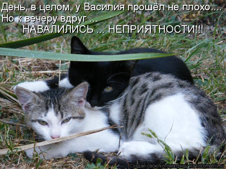 Котоматрица: День, в целом, у Василия прошёл не плохо.... Но к вечеру вдруг ...  НАВАЛИЛИСЬ ... НЕПРИЯТНОСТИ!!!