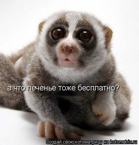 Котоматрица: а что печенье тоже бесплатно?