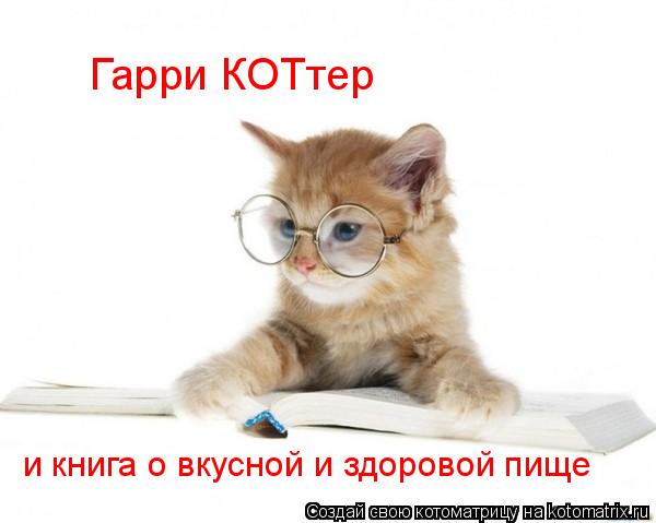 Котоматрица: Гарри КОТтер и книга о вкусной и здоровой пище