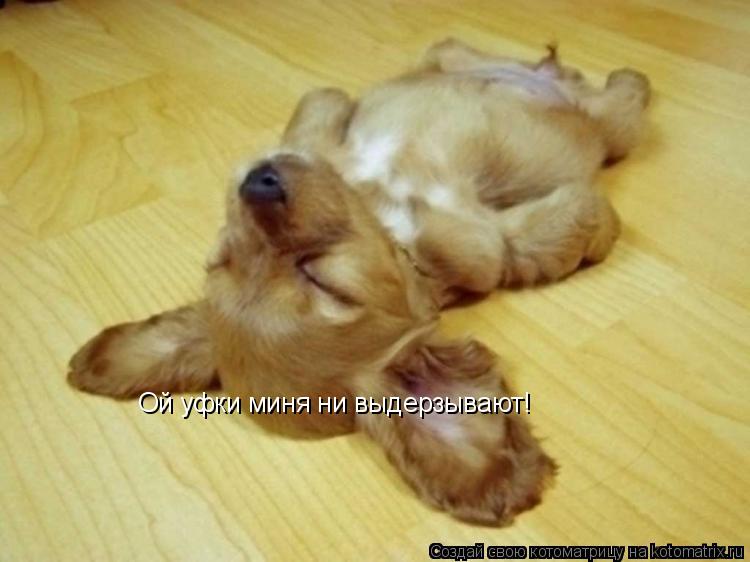 Котоматрица: Ой уфки миня ни выдерзывают!