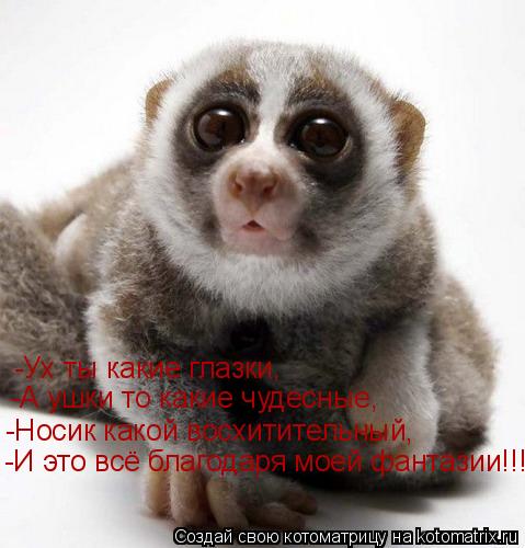 Котоматрица: -Ух ты какие глазки, -А ушки то какие чудесные, -Носик какой восхитительный, -И это всё благодаря моей фантазии!!!