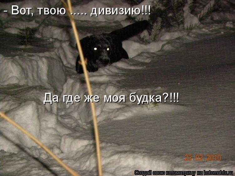 Котоматрица: - Вот, твою ..... дивизию!!! Да где же моя будка?!!!