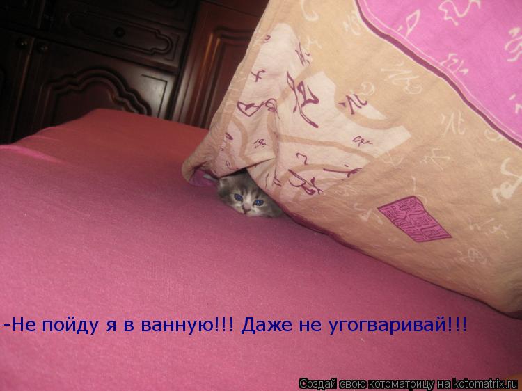 Котоматрица: -Не пойду я в ванную!!! Даже не угогваривай!!!