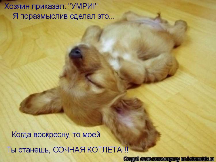 Котоматрица: Хозяин приказал: "УМРИ!" Я поразмыслив сделал это... Когда воскресну, то моей  Ты станешь, СОЧНАЯ КОТЛЕТА!!!