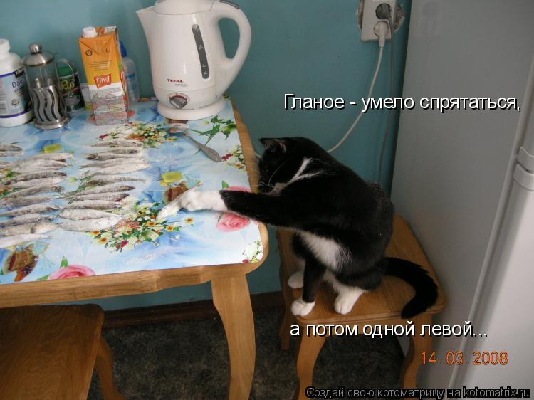 Котоматрица: а потом одной левой... Гланое - умело спрятаться,