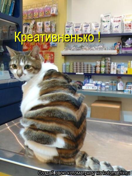 Котоматрица: Креативненько !