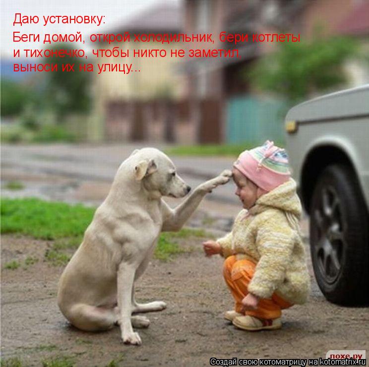 Котоматрица: Даю установку: Беги домой, открой холодильник, бери котлеты и тихонечко, чтобы никто не заметил, выноси их на улицу...