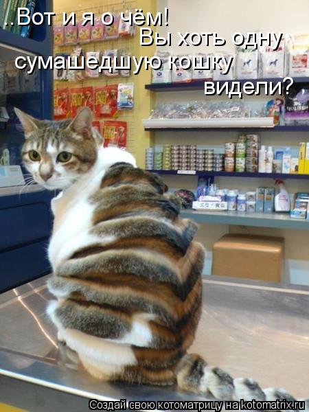 ..Вот и я о чём! Вы хоть одну сумашедшую кошку видели?... Котоматрица: ..Вот и я о чём! Вы хоть одну сумашедшую кошку видели?