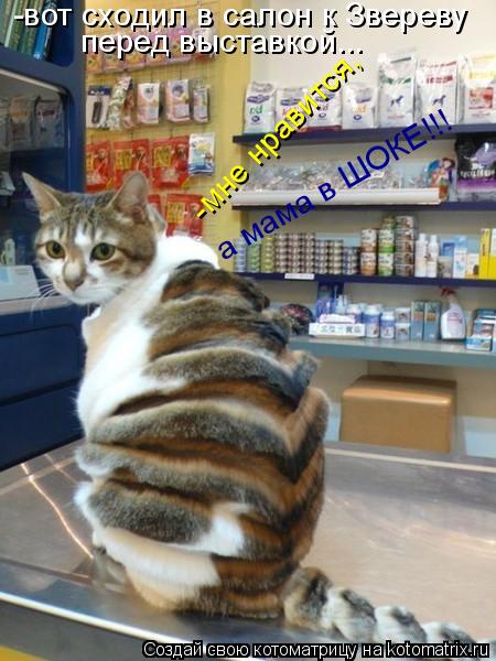 Котоматрица: -вот сходил в салон к Звереву перед выставкой... -мне нравится, а мама в ШОКЕ!!!