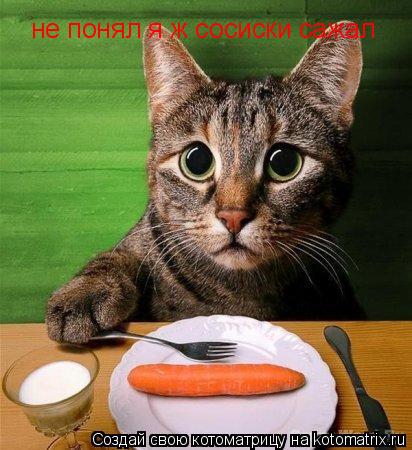 Котоматрица: не понял я ж сосиски сажал