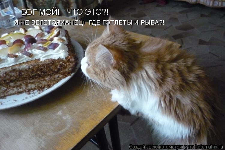 Котоматрица: БОГ МОЙ! ЧТО ЭТО?! Я НЕ ВЕГЕТЭРИАНЕЦ!  ГДЕ ГОТЛЕТЫ И РЫБА?!