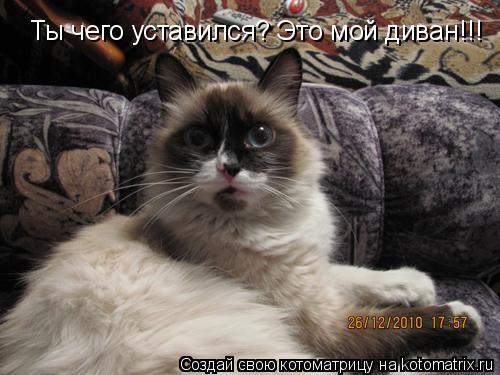 Котоматрица: Ты чего уставился? Это мой диван!!!