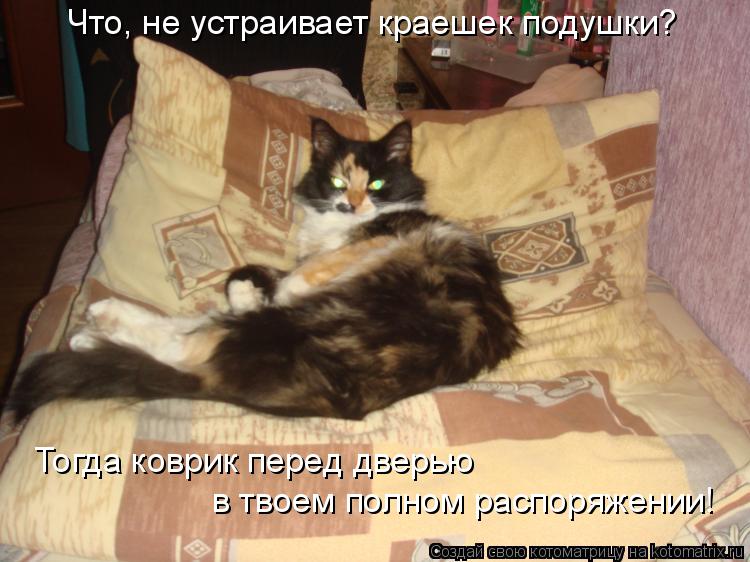 Что, не устраивает краешек подушки? Тогда коврик перед дверью в твоем полном распоряжении!... Котоматрица: Что, не устраивает краешек подушки? Тогда коврик перед дверью в твоем полном распоряжении!