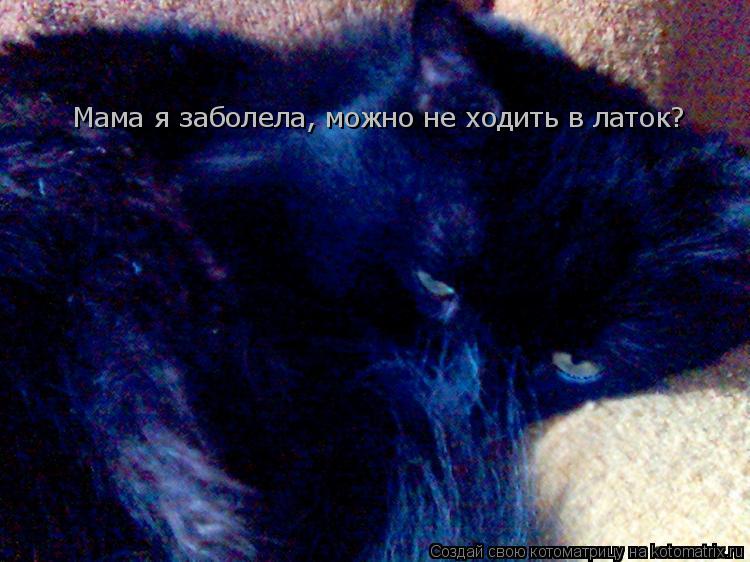 Котоматрица: Мама я заболела, можно не ходить в латок?