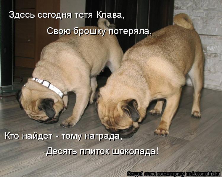 Котоматрица: Здесь сегодня тетя Клава, Свою брошку потеряла, Кто найдет - тому награда, Десять плиток шоколада!