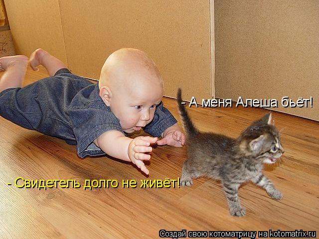 Котоматрица: - А меня Алеша бьёт! - Свидетель долго не живёт!