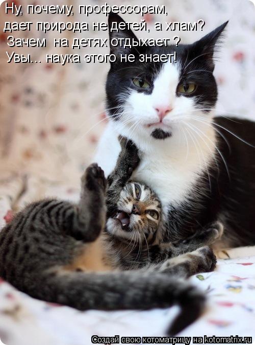 Котоматрица: Ну, почему, профессорам,  дает природа не детей, а хлам? Зачем «на детях отдыхает»?  Увы... наука этого не знает!