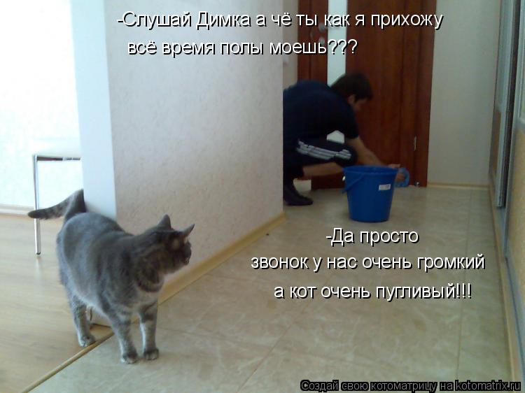 Котоматрица: -Слушай Димка а чё ты как я прихожу всё время полы моешь??? -Да просто  звонок у нас очень громкий а кот очень пугливый!!!