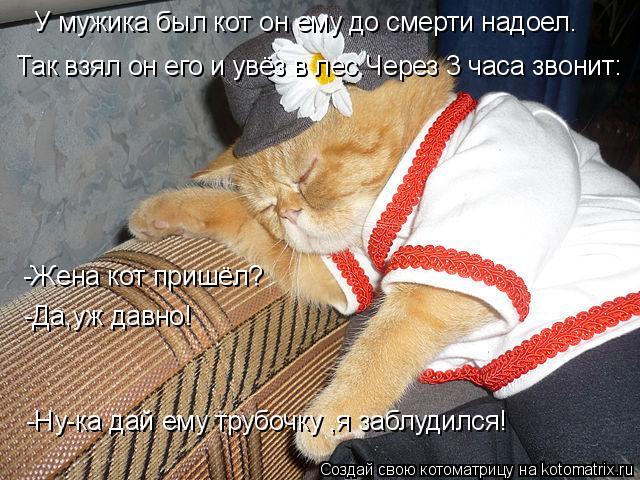 Котоматрица: У мужика был кот он ему до смерти надоел. Так взял он его и увёз в лес.Через 3 часа звонит: -Жена кот пришёл? -Да,уж давно! -Ну-ка дай ему трубочку