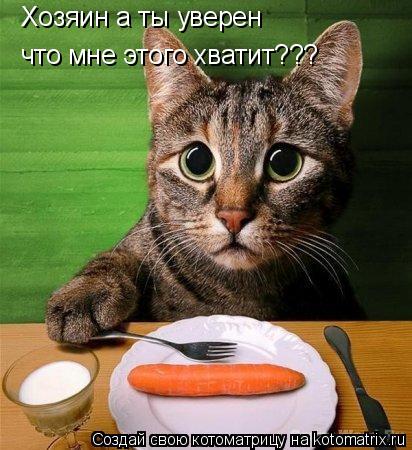 Котоматрица: Хозяин а ты уверен  что мне этого хватит???