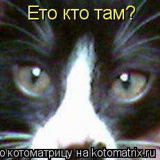 Котоматрица: Ето кто там?