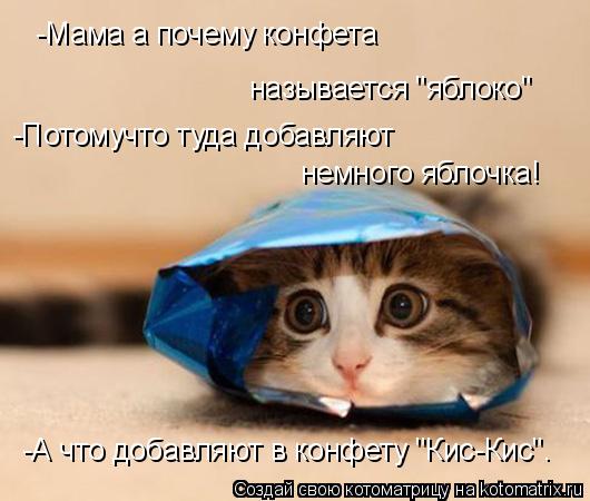 Котоматрица: -Мама а почему конфета  называется "яблоко" -Потомучто туда добавляют  немного яблочка! -А что добавляют в конфету "Кис-Кис".
