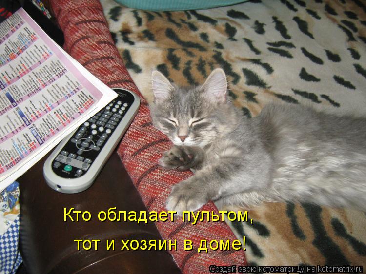 Котоматрица: Кто обладает пультом,  тот и хозяин в доме!
