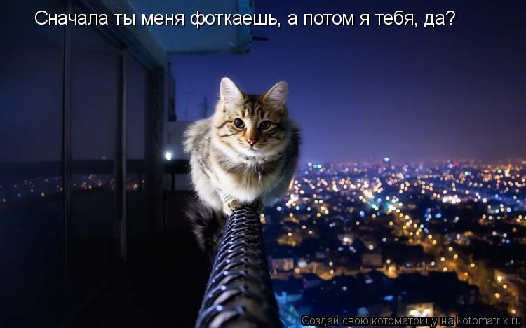 Котоматрица: Cначала ты меня фоткаешь, а потом я тебя, да?