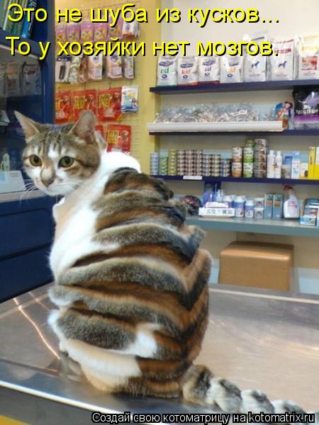 Котоматрица: Это не шуба из кусков... То у хозяйки нет мозгов.