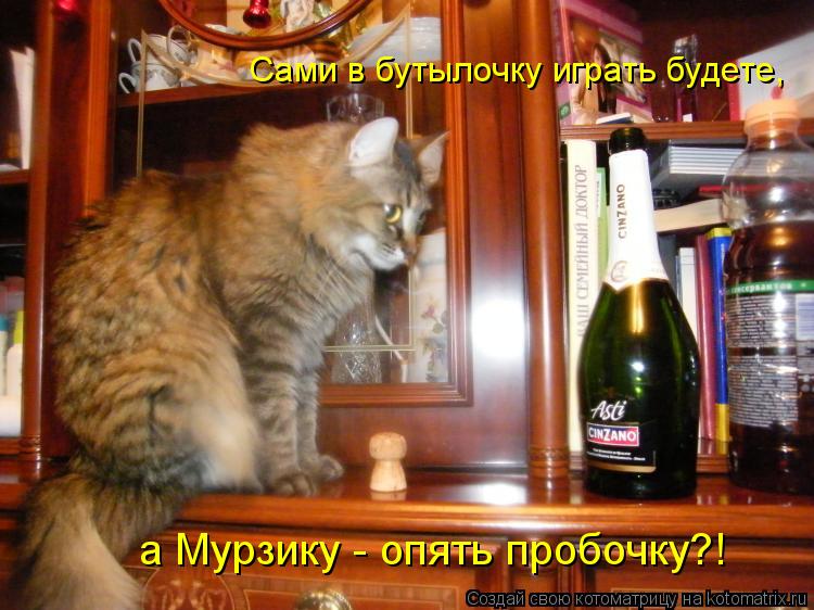 Котоматрица: Сами в бутылочку играть будете,  а Мурзику - опять пробочку?!