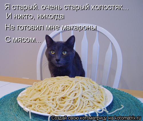 Котоматрица: Я старый. очень старый холостяк... И никто, никогда Не готовил мне макароны С мясом...