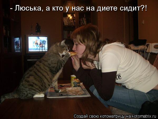 Котоматрица: - Люська, а кто у нас на диете сидит?!