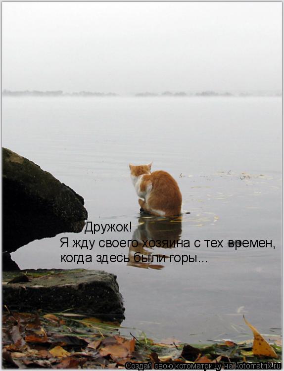 Котоматрица: Дружок! Я жду своего хозяина с тех времен, когда здесь были горы...