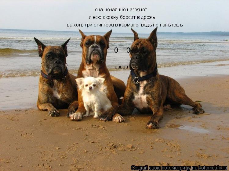 Котоматрица: 0    0 ппппп она нечаянно нагрянет и всю охрану бросит в дрожь да хоть три стингера в кармане, ведь не пальнешь