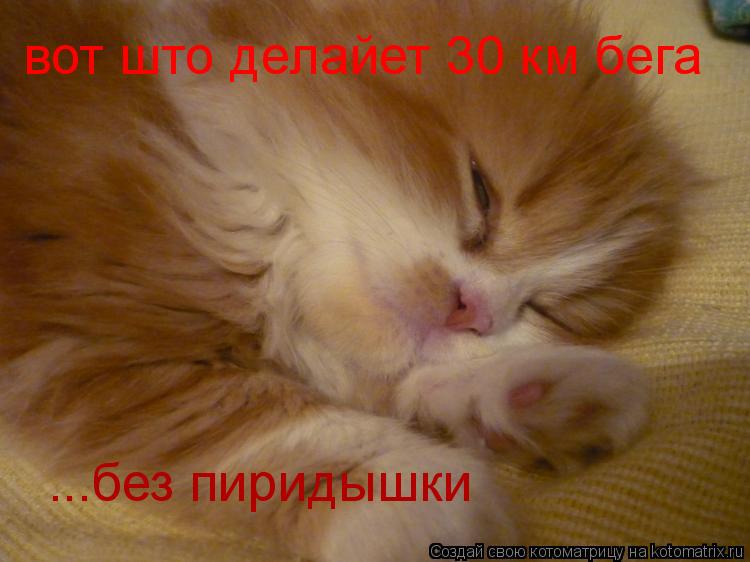 Котоматрица: вот што делайет 30 км бега ...без пиридышки