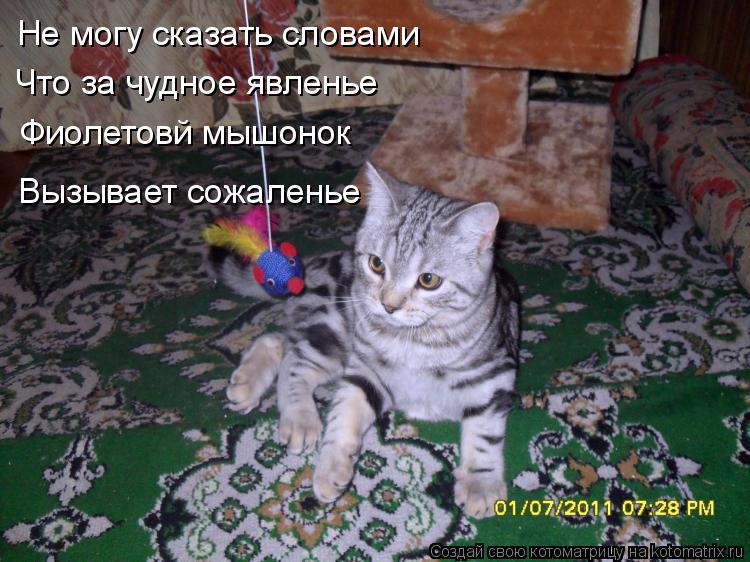 Котоматрица: Не могу сказать словами Что за чудное явленье Фиолетовй мышонок Вызывает сожаленье