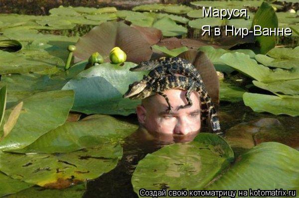 Котоматрица: Маруся, Я в Нир-Ванне