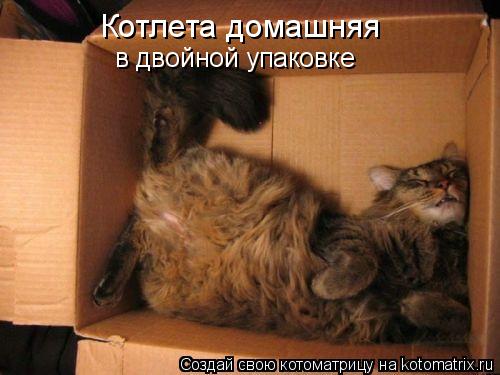 Котоматрица: Котлета домашняя в двойной упаковке