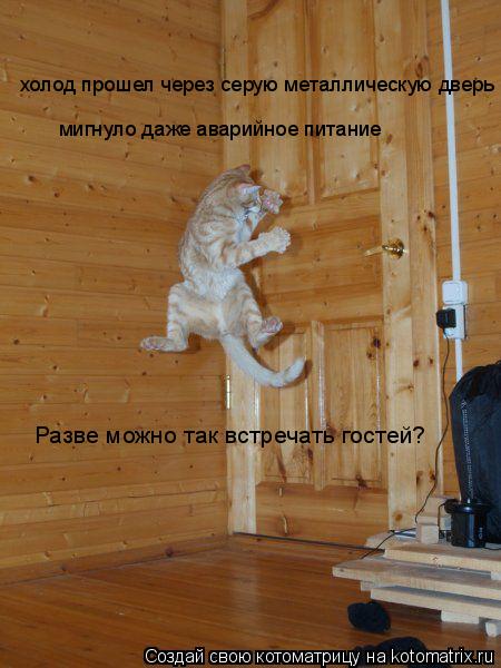 Котоматрица: холод прошел через серую металлическую дверь мигнуло даже аварийное питание Разве можно так встречать гостей?