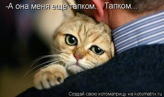 Котоматрица: -А она меня ещё тапком..  Тапком...